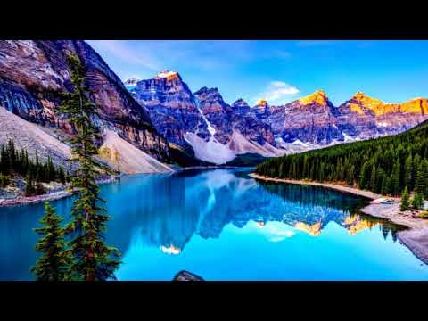1 Hour Nature Sounds Relaxing ZEN Meditation Birds Relaxation sleeping fast ASMR High quality