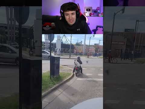 Perro Se Adopta Solo 🐶