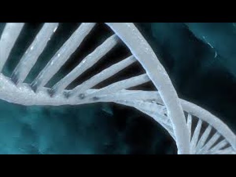 DNA Hacking with Swift | Bioinformatics for Swift Programmers Part 2