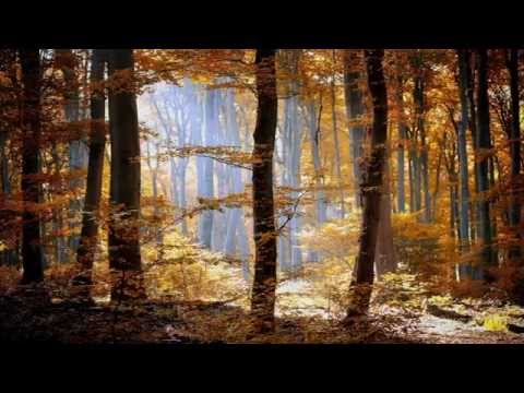 John D Burgess Bagpipes- Murdo MacLeod, Colonel Davidson, Jeannie Carruthers, The 74th's Farewel....