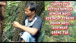 Download lagu zona nyaman mp3