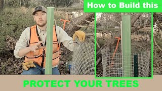 How to Protect Your Trees From Beavers