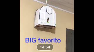 PARDINHO BIG FAVORITO (BIGALIS 1905 X BIG FAVORITA 317).