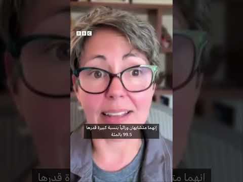 فيديو | ذئاب رهيبة تعود للحياة بعد آلاف السنين من الانقراض... وعلماء يشككون