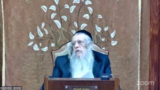 הגה"ח הרב מענדל וועכטר שליט"א כ"א טבת תשפ"ח - מאמר הרבי הרש"ב ד"ה וסמך ידו חלק ג (הרב אברהם מנחם מענדל וכטר) - התמונה מוצגת ישירות מתוך אתר האינטרנט יוטיוב. זכויות היוצרים בתמונה שייכות ליוצרה. קישור קרדיט למקור התוכן נמצא בתוך דף הסרטון