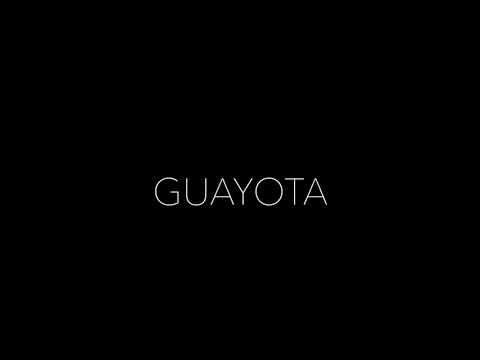 GUAYOTA FEAT. LORTEX - PROPRIO NO