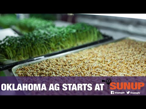 Hydroponics & forage (6/29/19)