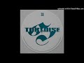 Tortoise - Cliff Dweller Society