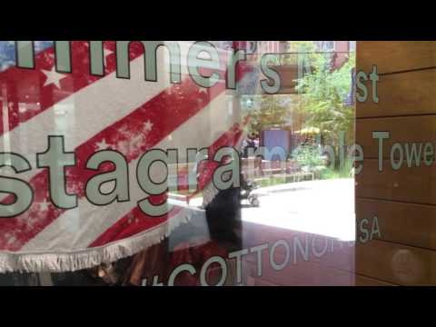 Clear Window Decal vs Vinyl Lettering