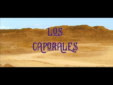 Todopoderoso Popular Marcial -  Los Caporales video oficial