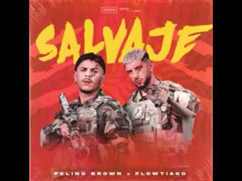 Flowtiago felino brown salvaje