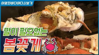 쪄서 먹어도 맛있고, 탕으로 끓여 먹어도 맛있고, 무쳐 먹어도 맛있는 진도 서망항 봄꽃게 #말이필요없다 #봄…