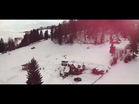 Cabana Cãsuta din Pãdure // Muntii Rodnei // Maramuresului // Dealul Stefanitei jud. Bistrita-Nasaud