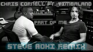 Chris Cornell Ft. Timbaland - Part Of Me (Steve Aoki Remix)