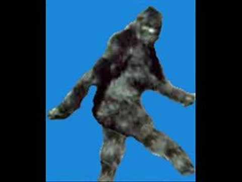 Bigfoot Boogie - Earthlings Washboard Band