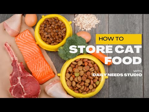 How to Store Cat Food Properly for Maximum Freshness