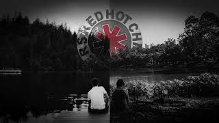 Red Hot Chili Peppers - Wet Sand (Extended solo)