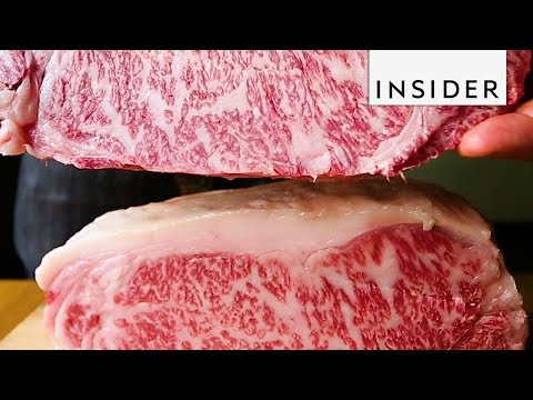 download lagu mp3 mp4 What Is The Price Of Kobe Beef, download lagu What Is The Price Of Kobe Beef gratis, unduh video klip What Is The Price Of Kobe Beef