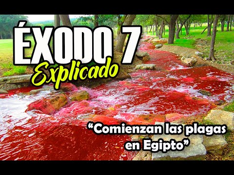 ÉXODO 7 - EXPLICADO | Reavivados por su Palabra || 11 de Marzo 2022