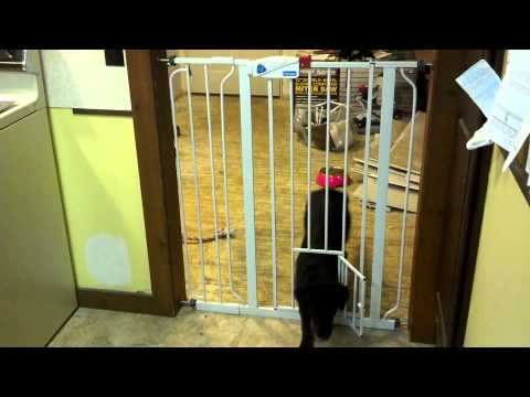 Carlson 0941PW Extra-Tall Walk-Thru Gate with Pet Door FAIL!