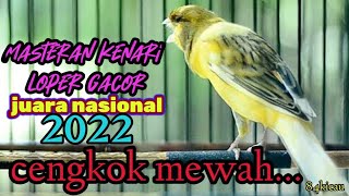 Download lagu MASTERAN KENARI LOPER GACOR||JUARA NASIONAL 2022 CENGKOK MEWAH FULL mp3 Download lagu MASTERAN KENARI LOPER GACOR||JUARA NASIONAL 2022 CENGKOK MEWAH FULL mp3