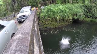 preview picture of video 'Bridge Jumping in Hawaii'