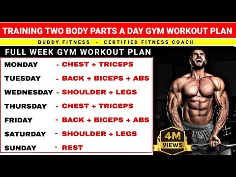 Two Body Parts A Day Workout Plan | Gym Workout | Two Body Parts Workout Schedule