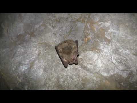 #89 Mines of Mexico #6 Zacatecas