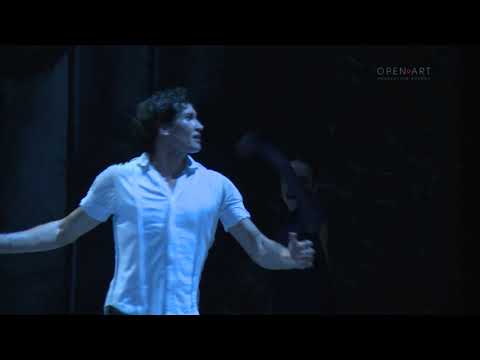 Данила Корсунцев "Прерванный полет"/Danila Korsuntsev "Interrupted flight"