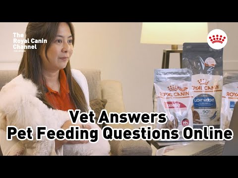 Vet Answers Pet Feeding Questions Online