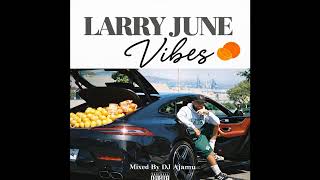 Larry June Vibes
