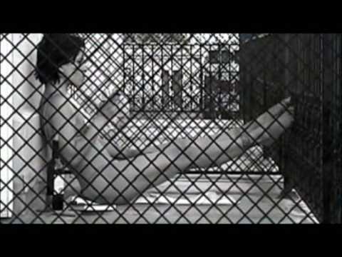 finalgirltrailer01a