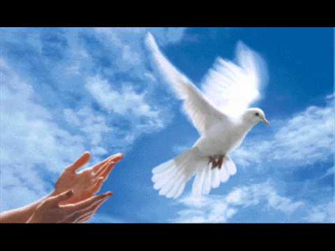 Le coeur est un oiseau