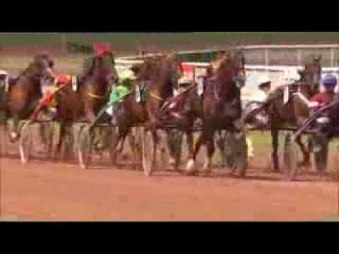 Prix Jean Luc Lagardère 2013 -Quoumba de Guez