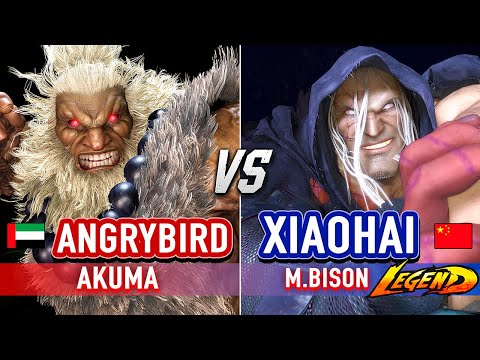 SF6 🔥 ANGRYBIRD (Akuma) vs XIAOHAI (M.Bison) 🔥 Street Fighter 6 High Level Gameplay