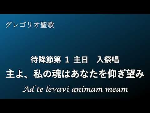 待降節第1主日　入祭唱   Dominica prima adventus  Introitus   主よ、私の魂はあなたを仰ぎ望み  Ad te levavi animam meam