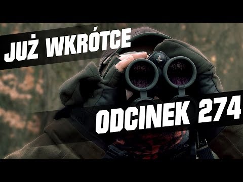 Darz Bór zapowiedź odcinka 274