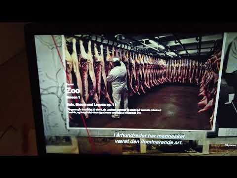 MongoTV_7023 - HVAD JEG SER PÅ NETFLIX - Del 149 - Zoo