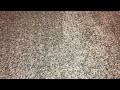 VHS Explanation On Schoolhouse Rock Grammar Rock 1995 VHS Version 3