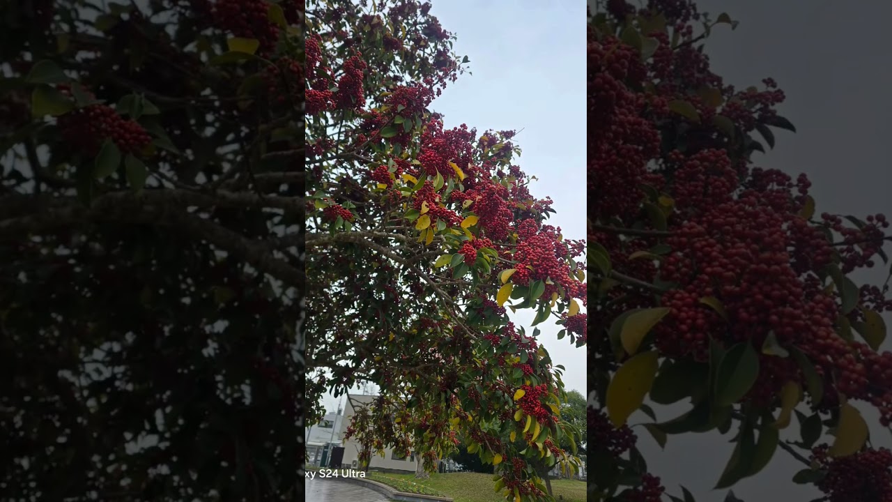 #소노베 마사토 #시계탑이 있는 마을