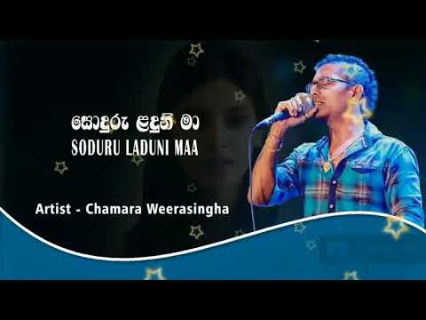 Best Artist Chamara Weerasinghe Soduru Laduni Maa Song | සොදුරු ළදුනි මා...
