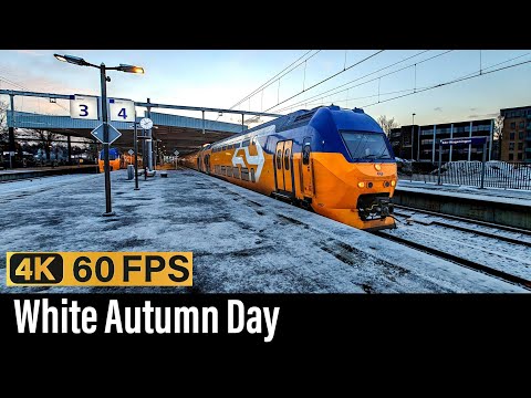 Train Cab Ride NL / White Autumn Day / Ede-Wageningen - Utrecht / VIRM / Nov 2024