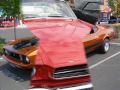 Mustang Stampede