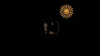 UNIT 2 - SUNSHINE (TIGER & WOODS REMIX) (RUNNING BACK)