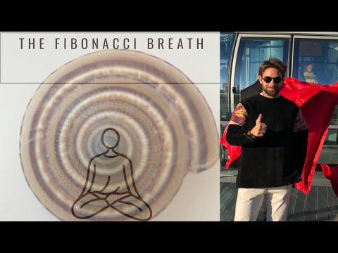🧘 The Fibonacci Breathing