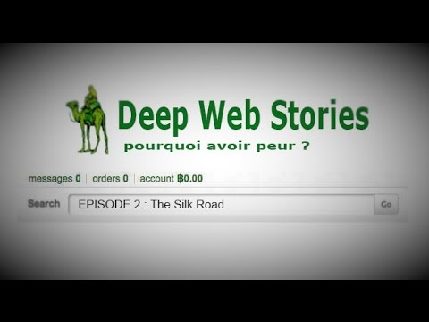 THE SILK ROAD : LE AMAZON DE LA DROGUE (Deep Web Stories #2)
