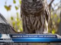 Raptor Hunter Hunted By Authorities