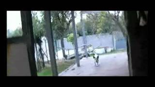 A hormigonera asesina.mp4