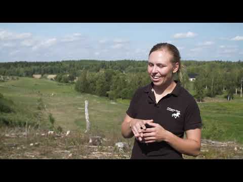 Alexandra Bjärrenholt, Skuru IK