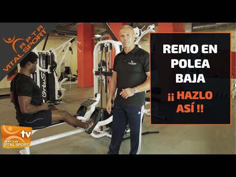 Remo en polea baja